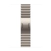 Apple Watch 42mm Natural Link Bracelet
