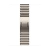 Apple Watch 42mm Natural Link Bracelet