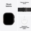 Apple Watch Ultra 2 GPS + Cellular 49mm Black Titanium Case with Black Titanium Milanese Loop - L