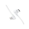 Insta360 Flow 2 Pro USB-C to Lightning Charge Cable