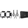 Kit Nanlite 2 light kit 600CSA w/Carry case & Light stand