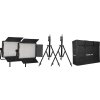 Kit Nanlite 2 light kit 1200DSA w/Carry case & Light stand