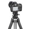 leofoto glowica g2 np 60