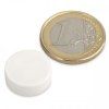 Neodymium disc magnet, 16 x 6 mm, waterproof plastic, 2.6 kg holding force