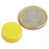 Neodymium disc magnet, 16 x 6 mm, waterproof plastic, 2.6 kg holding force