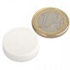 Neodymium disc magnet, 22 x 6 mm, waterproof plastic, 4.1 kg holding force