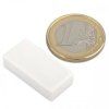 Neodymium prism magnet, 25.4 x 12.7 x 6.3 mm, waterproof plastic, 3.8 kg holding force