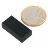 Neodymium prism magnet, 25.4 x 12.7 x 6.3 mm, waterproof plastic, 3.8 kg holding force