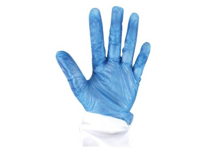 450 A65 Vinyl Gloves WEB