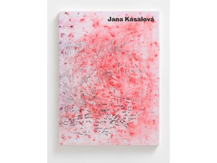 Kasalová Jana / ANÁMNĒSIS