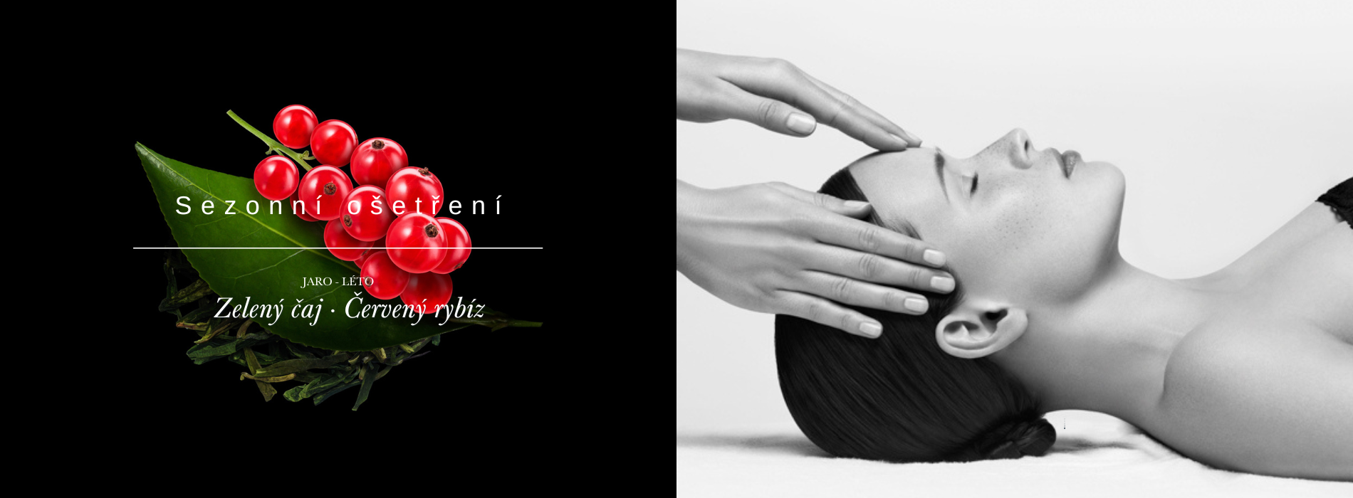 Sezónní kolekce jaro / léto 26