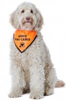                                     Srdce pro Canis, z.s.
                            