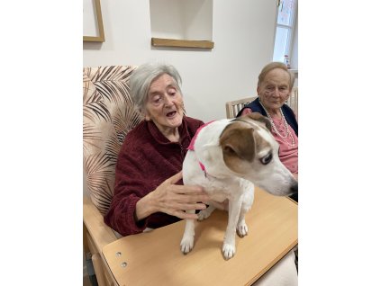 Obrázek WhatsApp, 2025 02 03 v 17.41.34 76d249cc