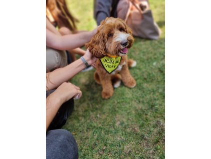 Canisterapeutická přípravka "4"- červen 2026