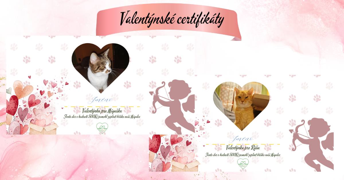 Bud kocicim jeziskem