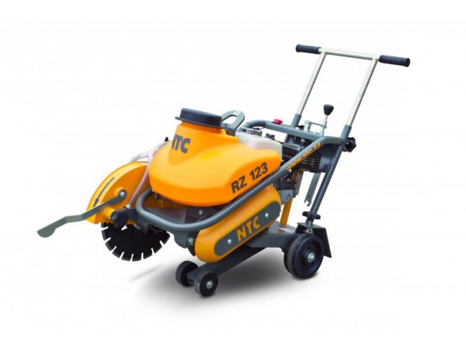 RZ 113