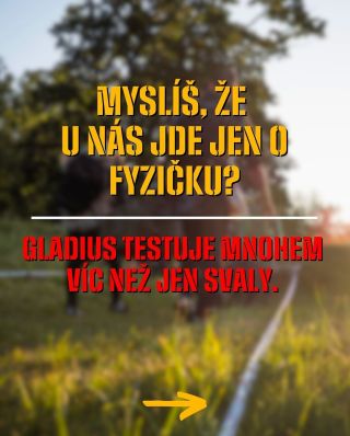 O čem je vlastně ten Gladius? 👀 #tohlejegladius #gladius #standstrong