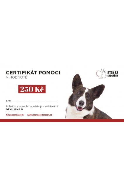 certifikát pomoci 250Kč