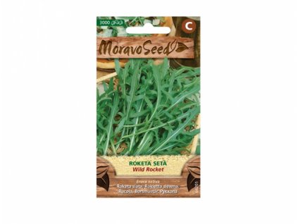 Roketa setá WILD ROCKET =
