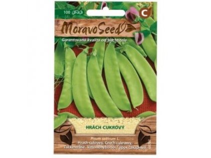 Hrách cukrový /JESSY/