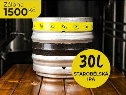 113 ipa 30l