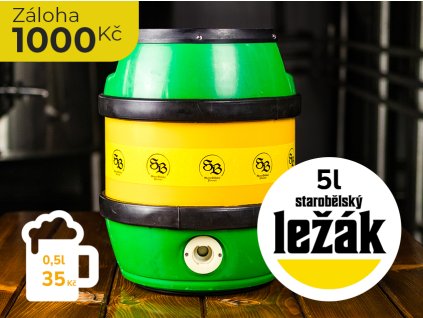 PS lezak 5l 2025