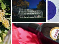 Grand Prix Vinex 2024