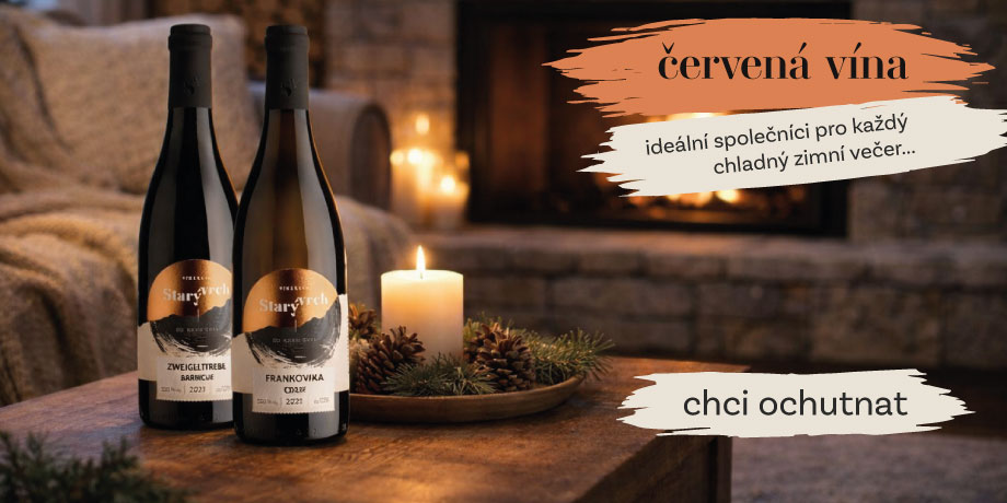 Červená vína na zimu