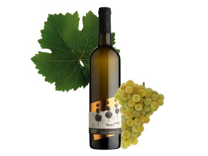 sad ryzlink rynsky 2022 web grape