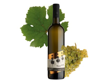 sad veltlinske zelene 2022 web grape