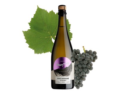 soliter pinot noir 2022 rose web grape