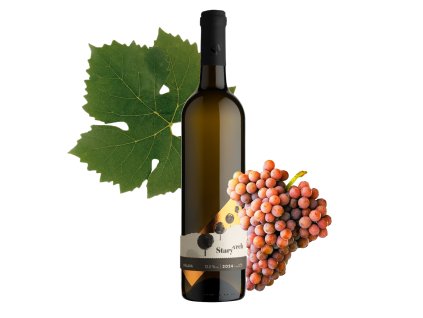 alej palava 2024 ps 824 web grape