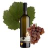 alej tramin cerveny 2022 web grape