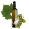 alej ryzlink vlassky 2022 web grape