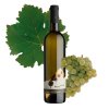 alej sauvignon 2023 web grape