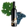 alej cabernet sauvignon 2021 web grape