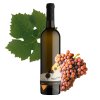 alej palava 2024 ps 824 web grape