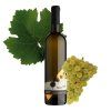alej ryzlink rynsky 2023 web grape
