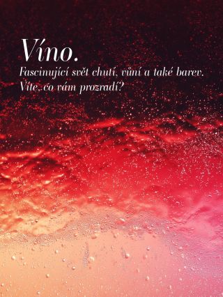 Pojďme do těchto šedivých dnů přinést trochu barev. 🎨🩷 ☝🏻Ve sklence vína jich najdete víc, než se na první pohled zdá....