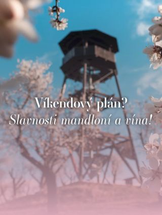 Už tento víkend se na Vás těšíme na Slavnostech mandloní a vína! 🌸🍷🧡 Nezapomeňte se po cestě zastavit i u nás ve vinařství...