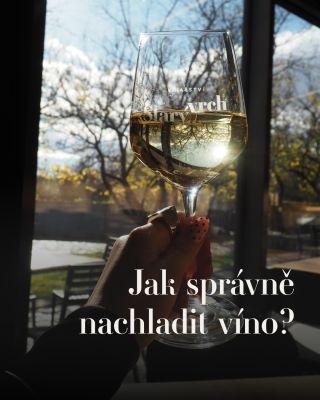 Věděli jste, že každé víno chce jinou teplotu?🌡️ 💡 Tip: 30 minut v lednici = pokles o cca 5 °C. Raději chlaďte víno...