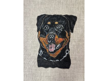 MALOVANÝ POLŠTÁŘ VAŠEHO MAZLÍČKA