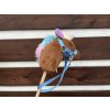Hobby horse (MINI) - duhová hříva