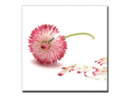 Obraz Stardeco Pink Air 60x60 - PA107