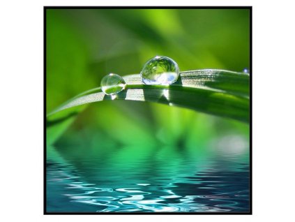 Obraz Stardeco Dew drop 60x60 - PA203