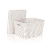 BANQUET Úložný box rattan 10 L s víkem, creamy