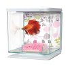 Plastové akvárium Marina Betta Kit Floral 2l