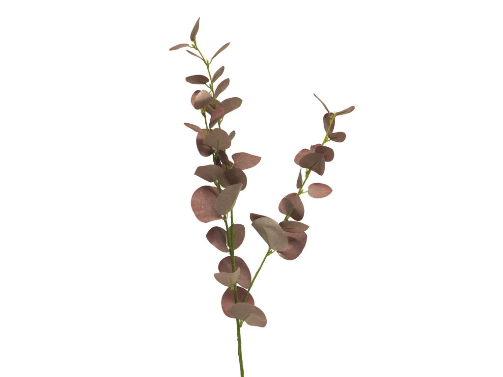 Innovative Eukalyptus Blahovicnik Vintage 76cm1