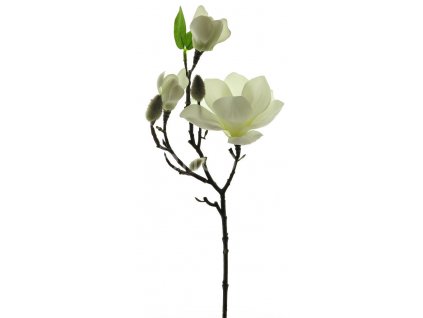 Innovative magnolia bila