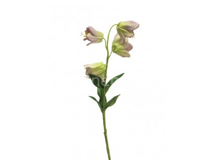 Innovative zvonek campanula 33cm